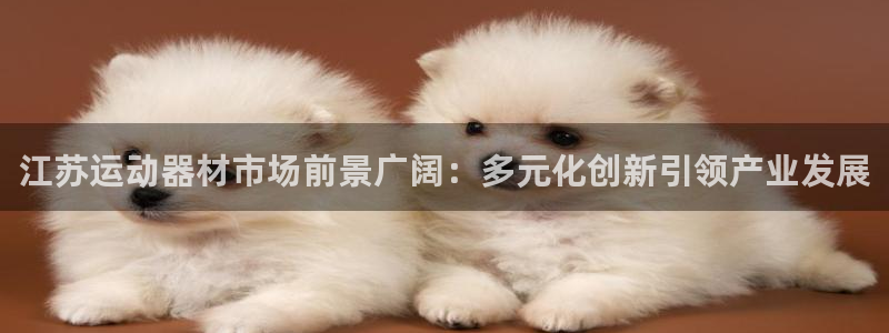 emc易倍体育官网下载平台假的吗是真的吗吗:江苏运动器材市场